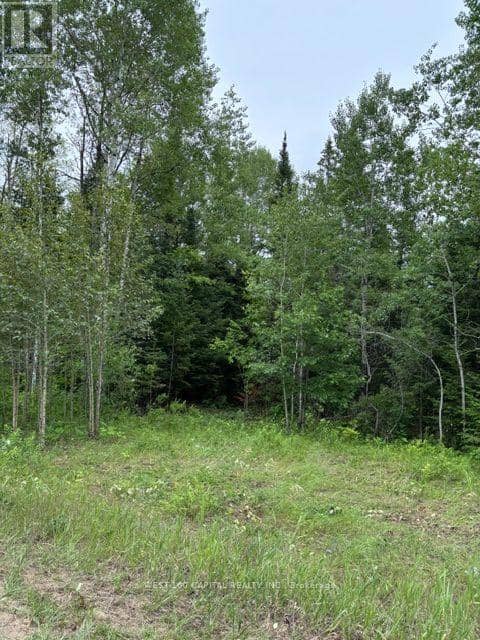 6055 Hwy 620, Wollaston, photo 8