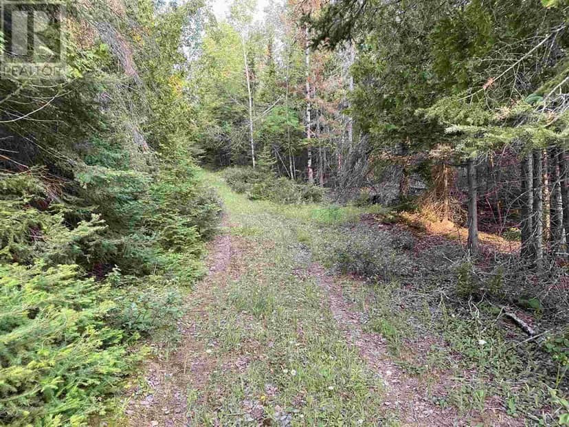 Hamilton Drive/ X Line, St. Joseph Island, photo 2