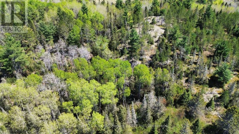 114 De La Montee Road, West Nipissing, photo 2