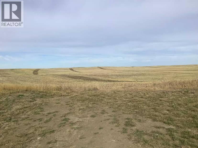 rural S 18 16 19 W4, Lomond, photo 3