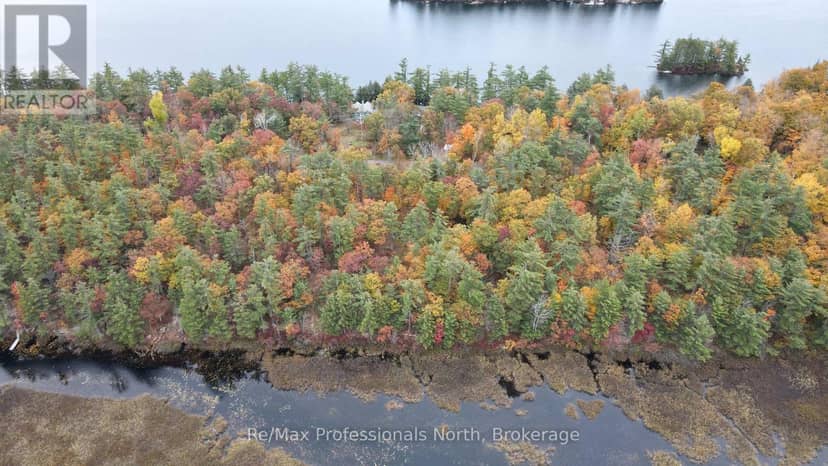 0 Ridge Road, Muskoka Lakes, photo 4