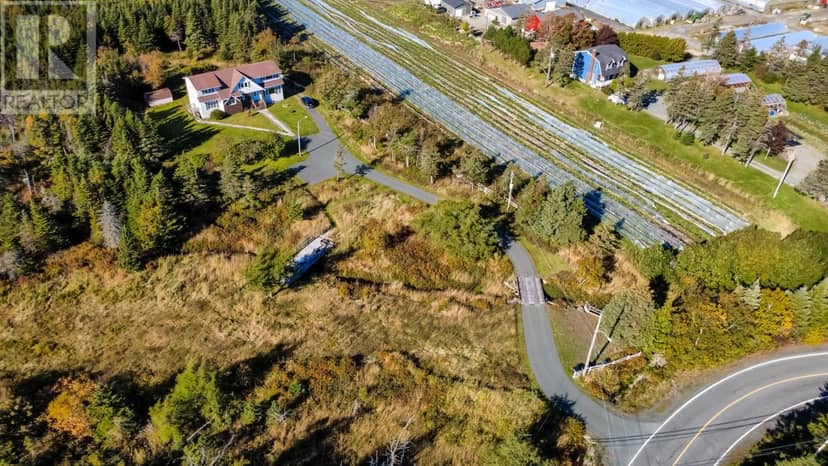 55 Heavy Tree Road, St. John's, photo 3