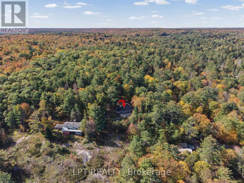179 Hoths Lane, Huntsville, photo 3