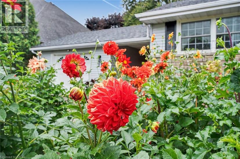 11 MILLER Drive, Ancaster, photo 3