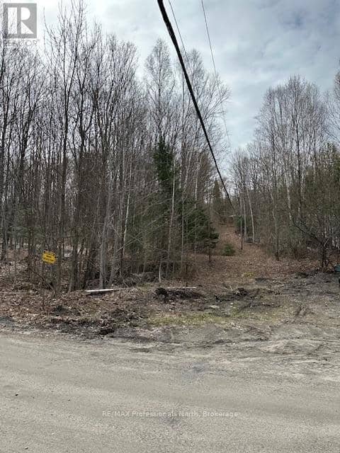 0 Providence Drive, Algonquin Highlands, photo 7