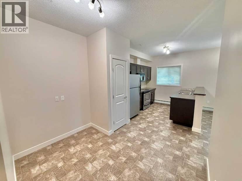 202, 109 Seabolt Drive, Hinton, photo 8