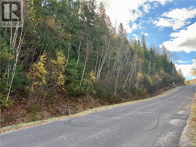Vacant lot Restigouche River Road, Dawsonville, photo 8