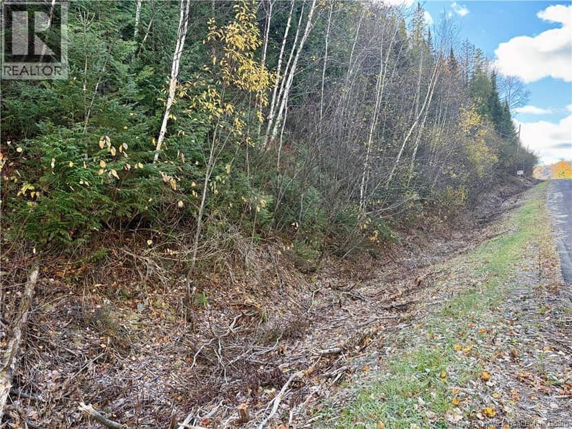 Vacant lot Restigouche River Road, Dawsonville, photo 6