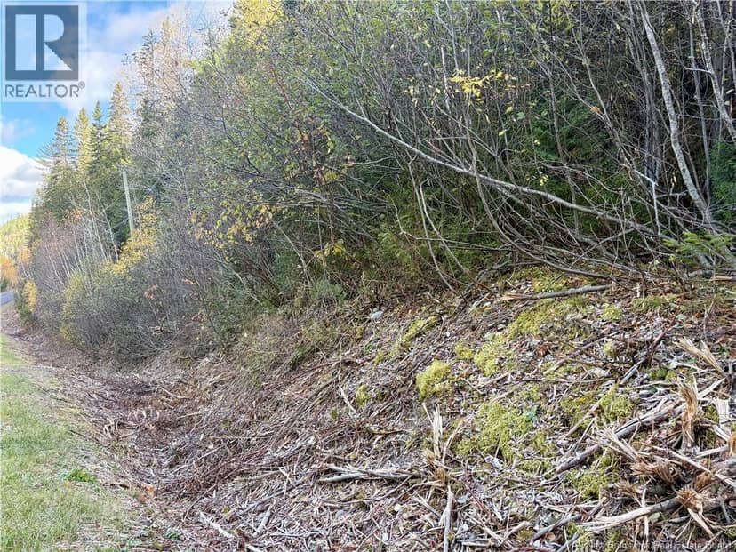 Vacant lot Restigouche River Road, Dawsonville, photo 4