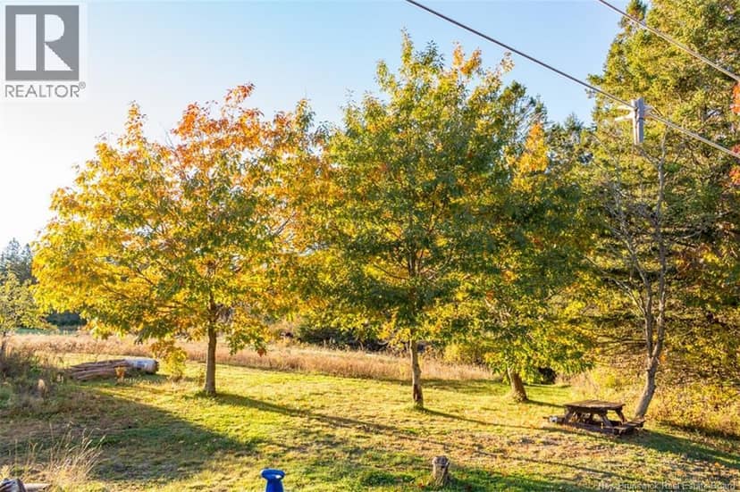 186 Sands Road, Bloomfield Ridge, photo 6