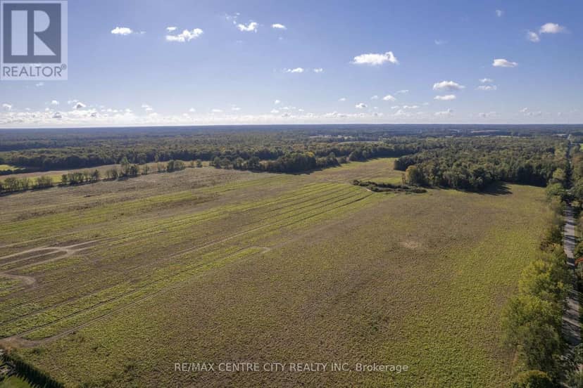 8916 Coyle Road, Bayham, photo 5