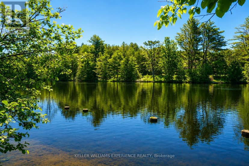 203 Santas Village Road, Bracebridge, photo 4