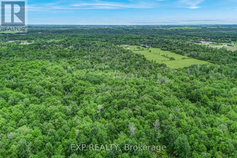 22262 Highway 48, East Gwillimbury, photo 6