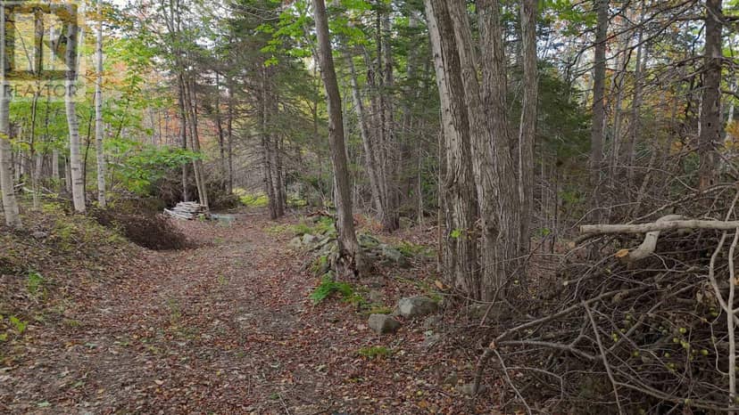 Old Route 5, Big Bras d'Or, Big Bras D'Or, photo 8