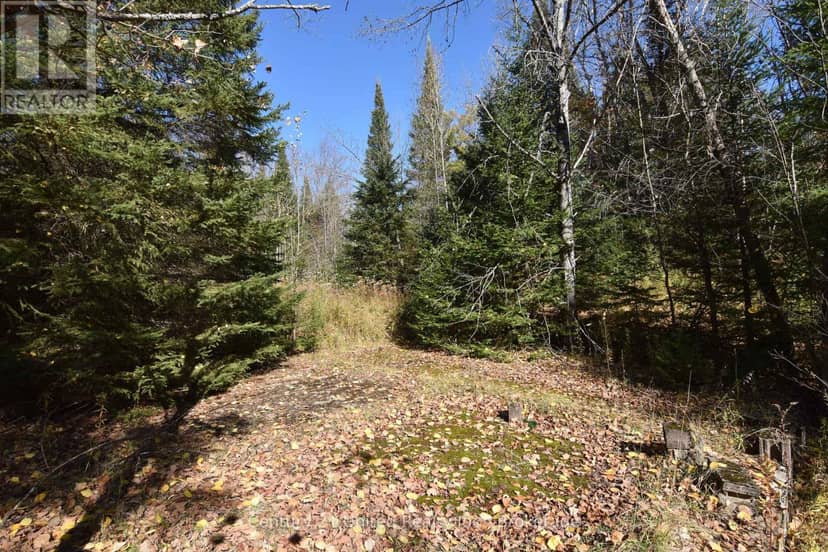0 Highway 620, Wollaston, photo 3