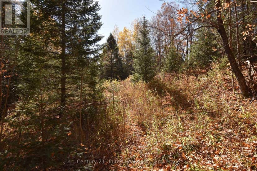 0 Highway 620, Wollaston, photo 6