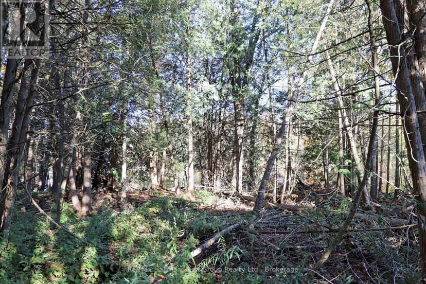 Lt 16 Sunsmile Lane, Tweed, photo 4
