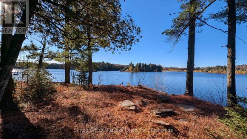 1448 Limberlost Road, Lake of Bays, photo 2