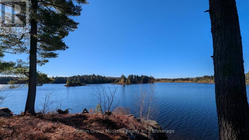 1448 Limberlost Road, Lake of Bays, photo 3