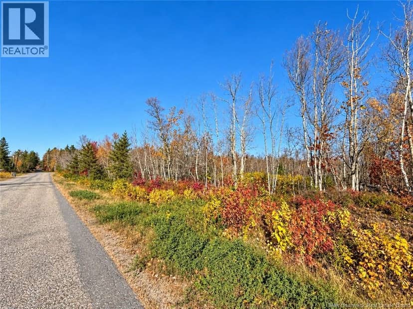 / rue Omer, Pointe-À-Tom, photo 2