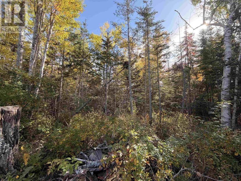 Lot 9 Brule Shore Road, Brule Shore, photo 8