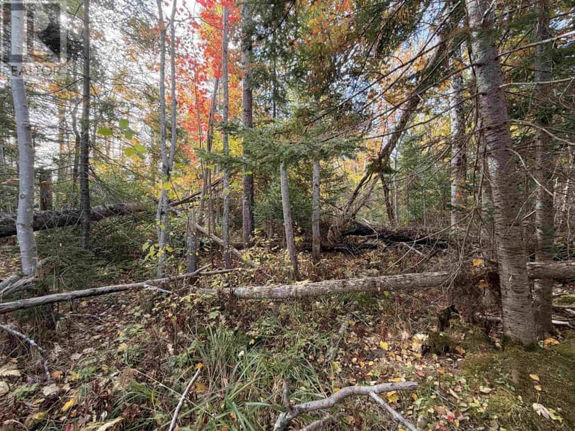 Lot 9 Brule Shore Road, Brule Shore, photo 7