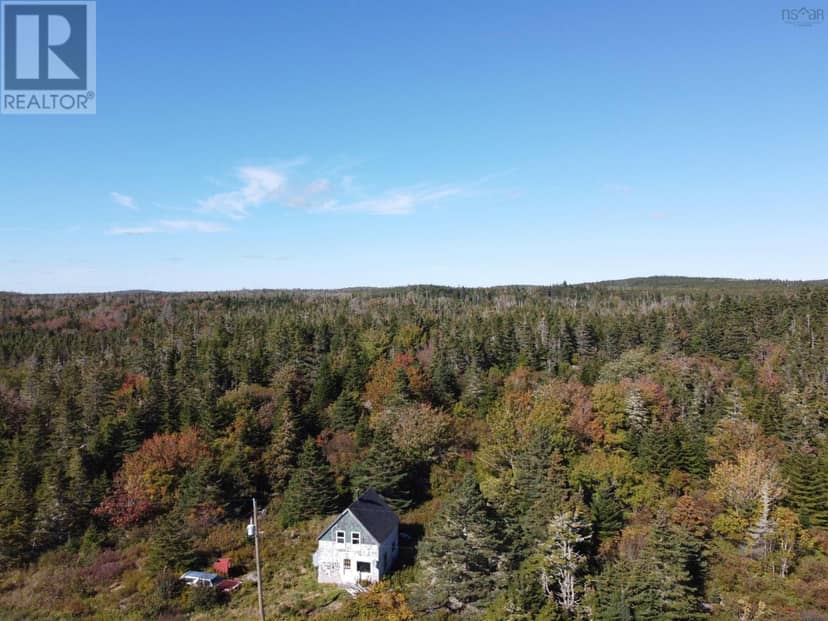 19 Acres Harrigan Cove, Harrigan Cove, photo 5