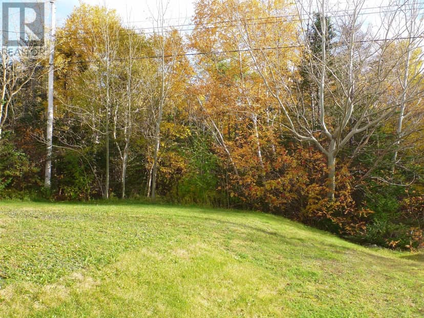 11 Gillbert Avenue, Clarenville, photo 6