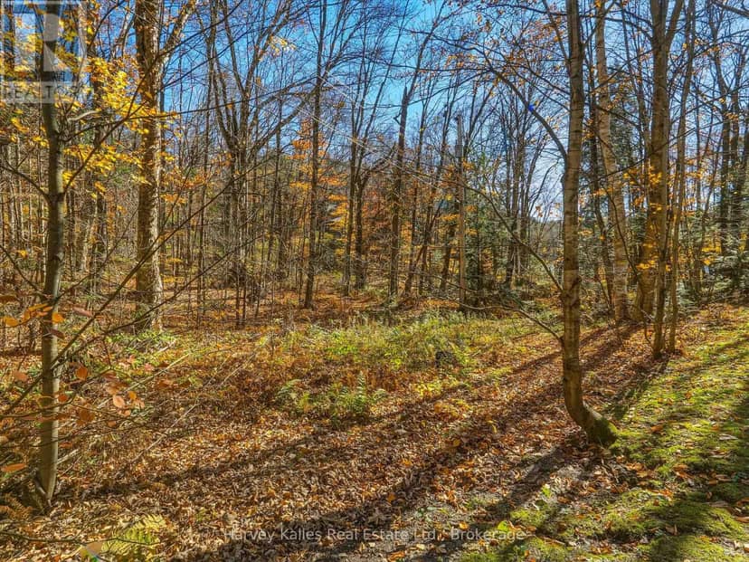 0 Frau Lane, Bracebridge, photo 4