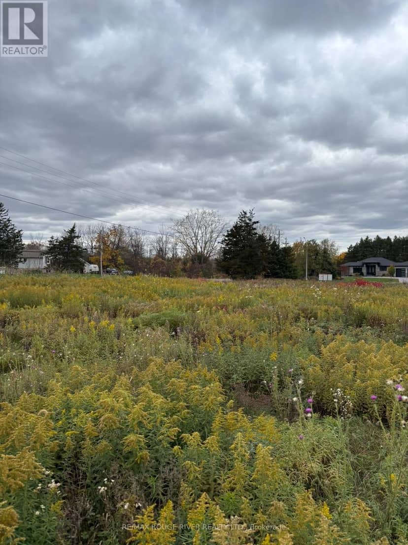10 Leaside (Lot 7) Street, Prince Edward County, photo 3