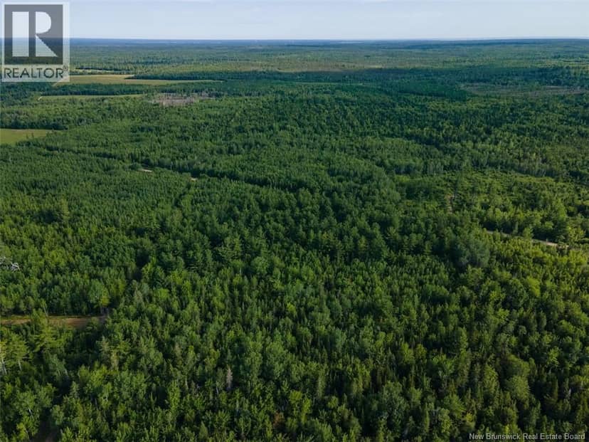 Lot Brown Road, Richibucto, photo 2