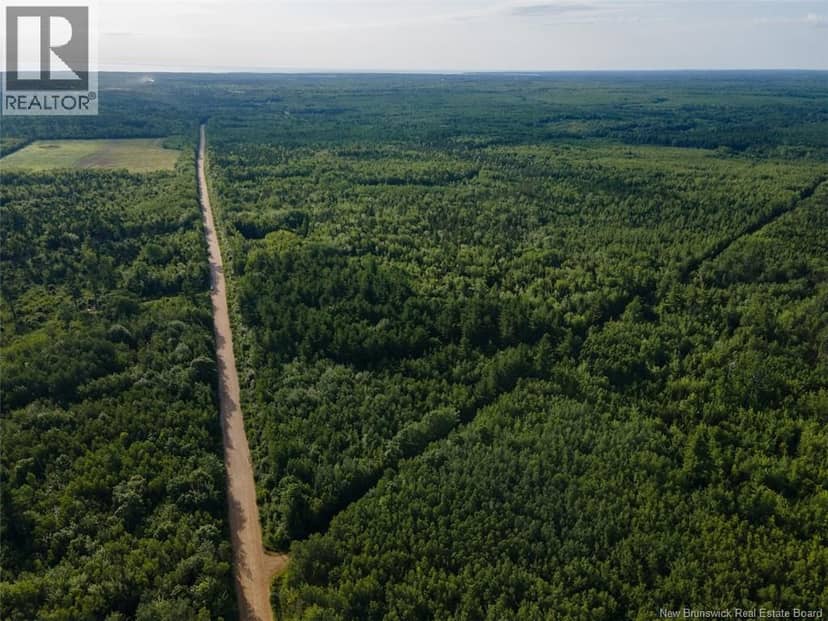 Lot Brown Road, Richibucto, photo 4