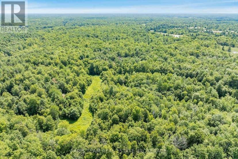 Part Lot 28 Concession 12 Black River Road, Kawartha Lakes, photo 4
