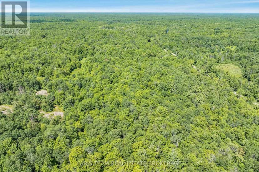 Part Lot 28 Concession 12 Black River Road, Kawartha Lakes, photo 7