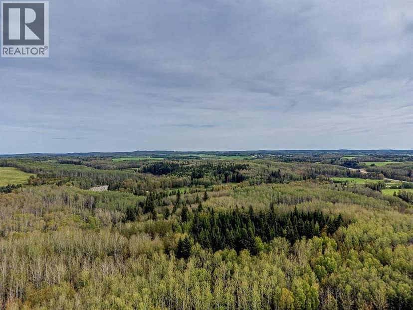 SW-29-49-5-W5, Rural Brazeau County, photo 7